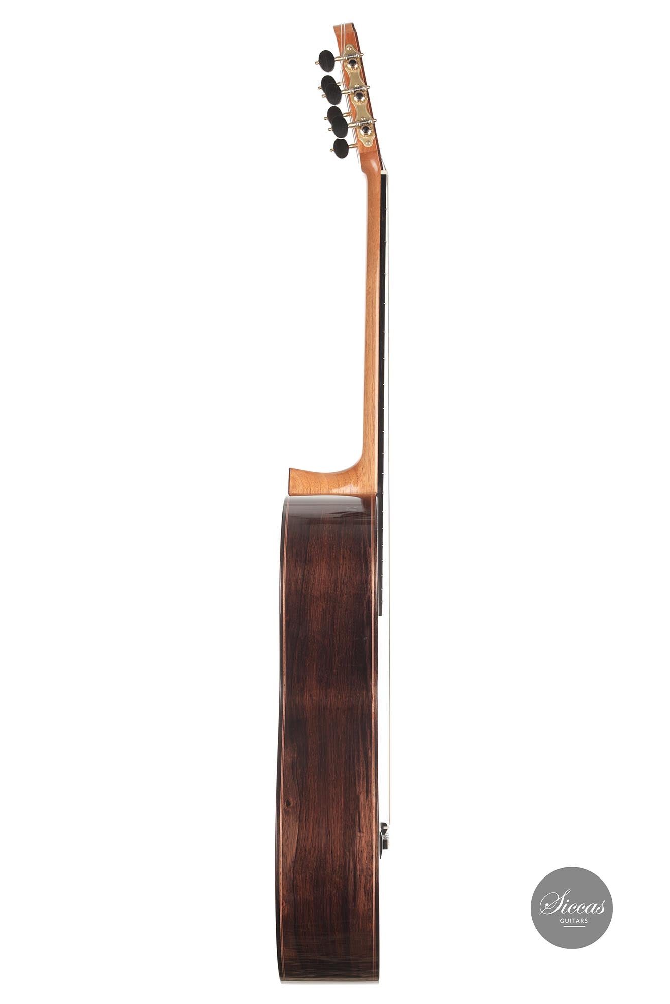 Danilo Bazzana - 2021 Madagascar Special Edition