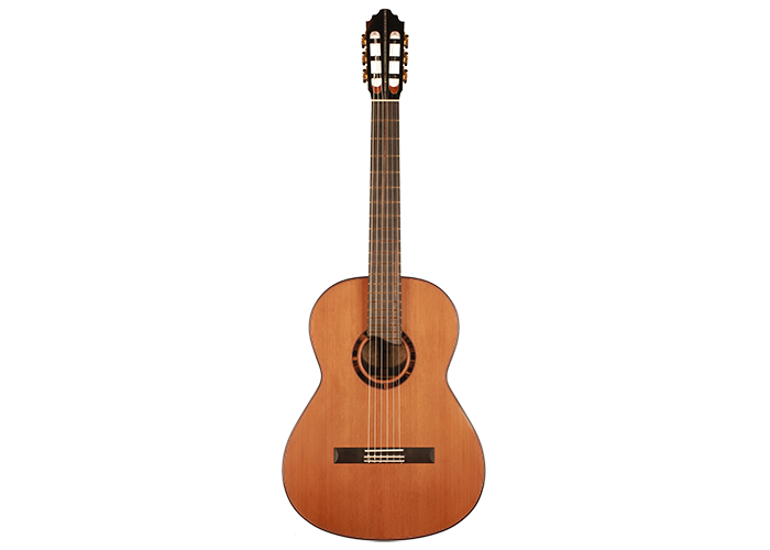 Dave Ryer Doubletop - 2019