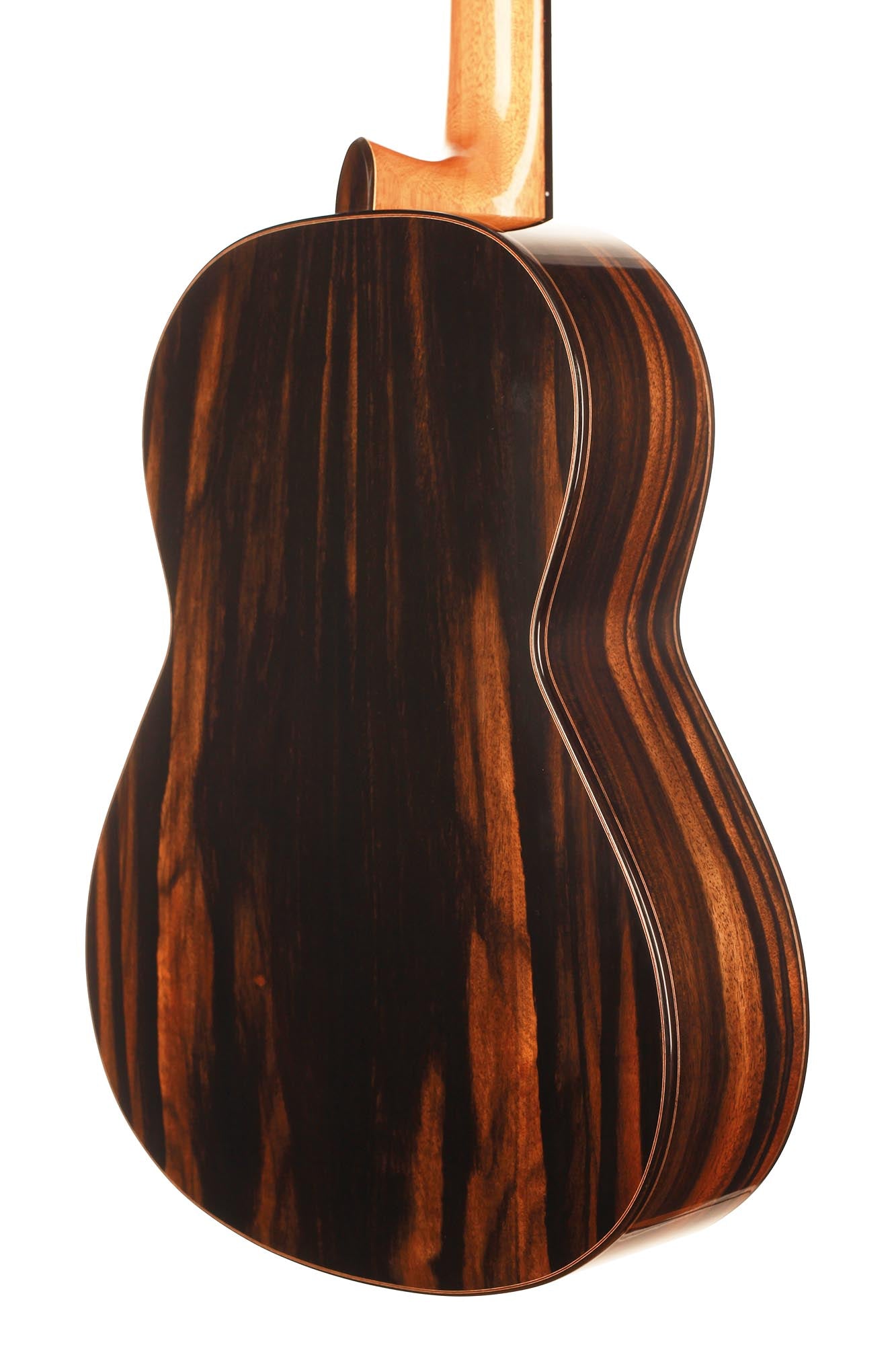 Dave Ryer Doubletop - 2019