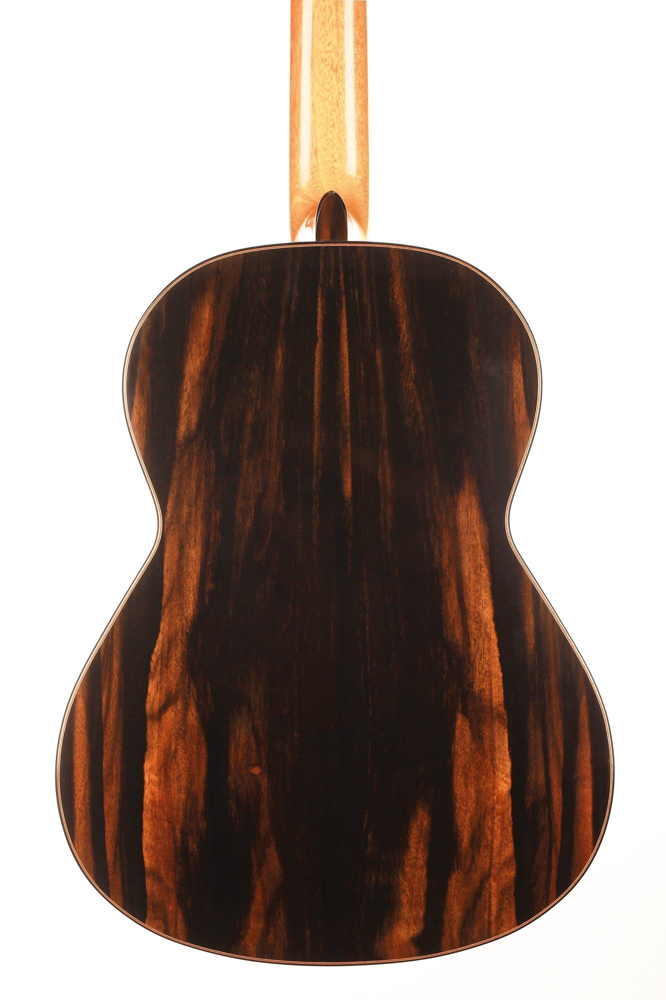 Dave Ryer Doubletop - 2019