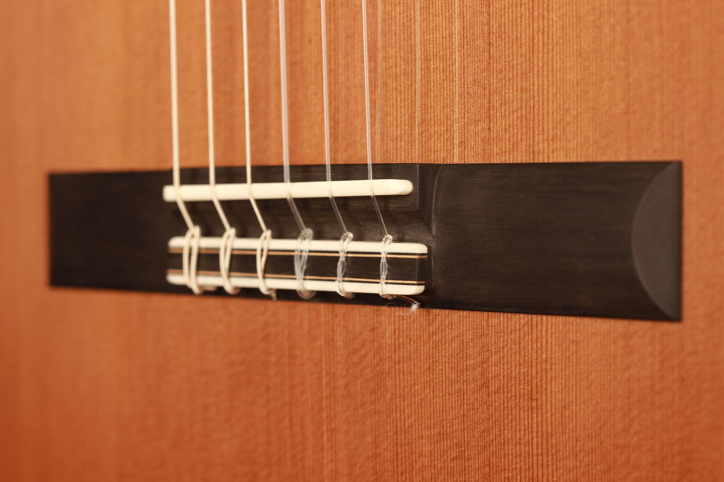 Dave Ryer Doubletop - 2019