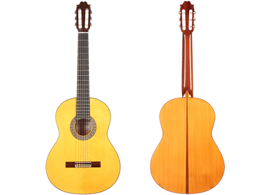 Francisco Sánchez - Flamenca 2017 CF img-2