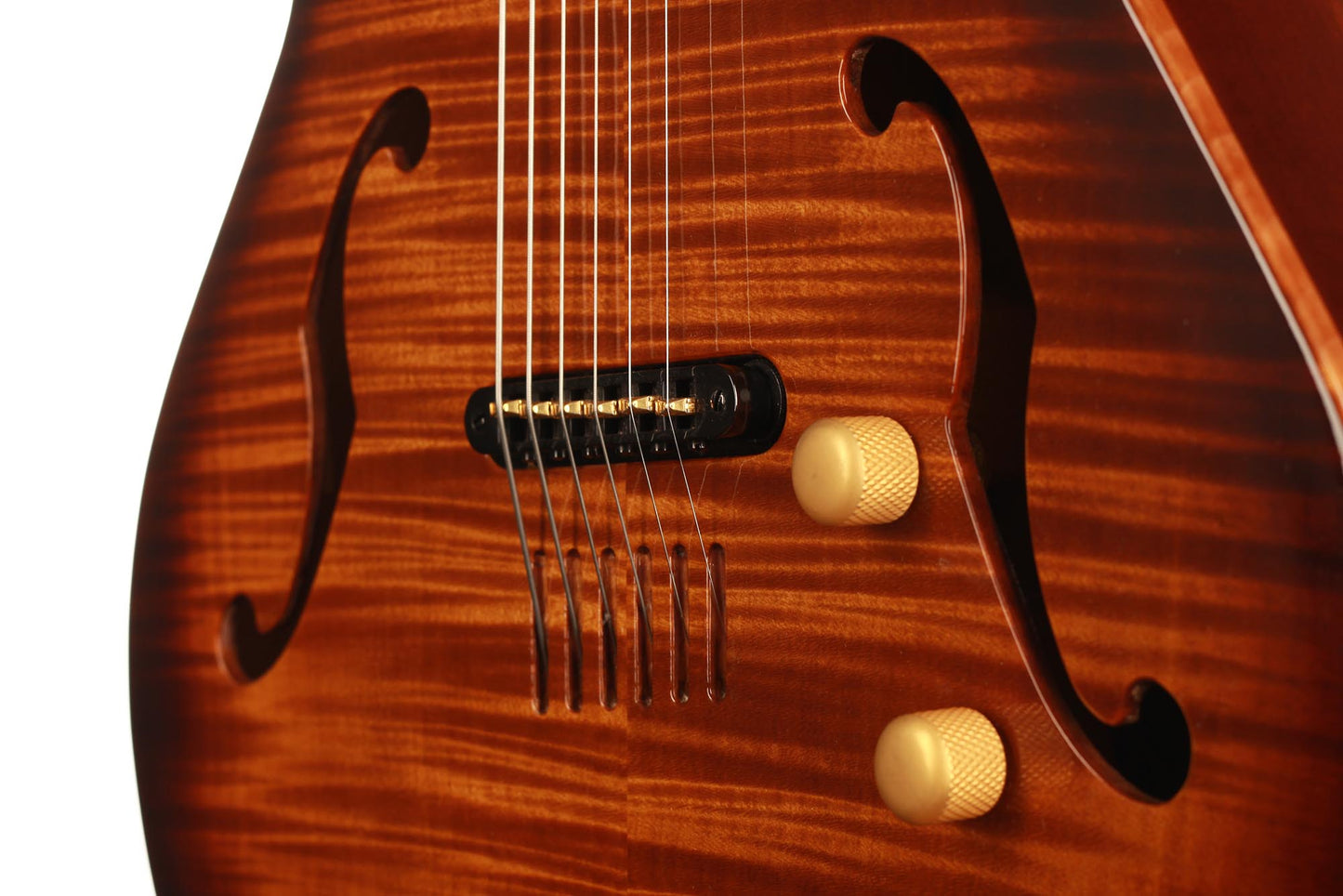 Godin Multiac Jazz SA