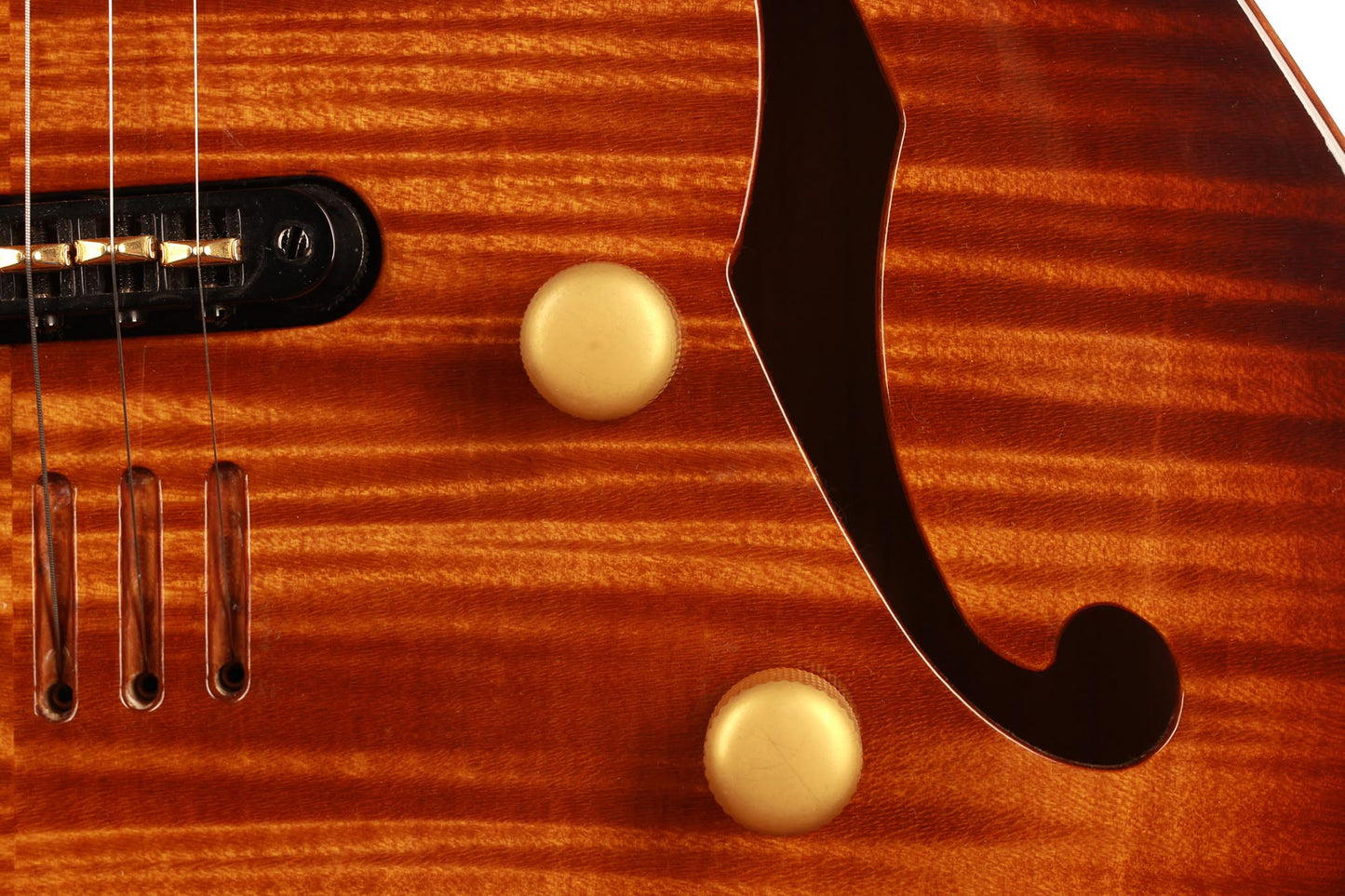 Godin Multiac Jazz SA