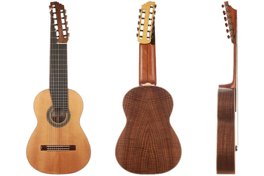 Heikki Rousu - 2019 11-String img-2