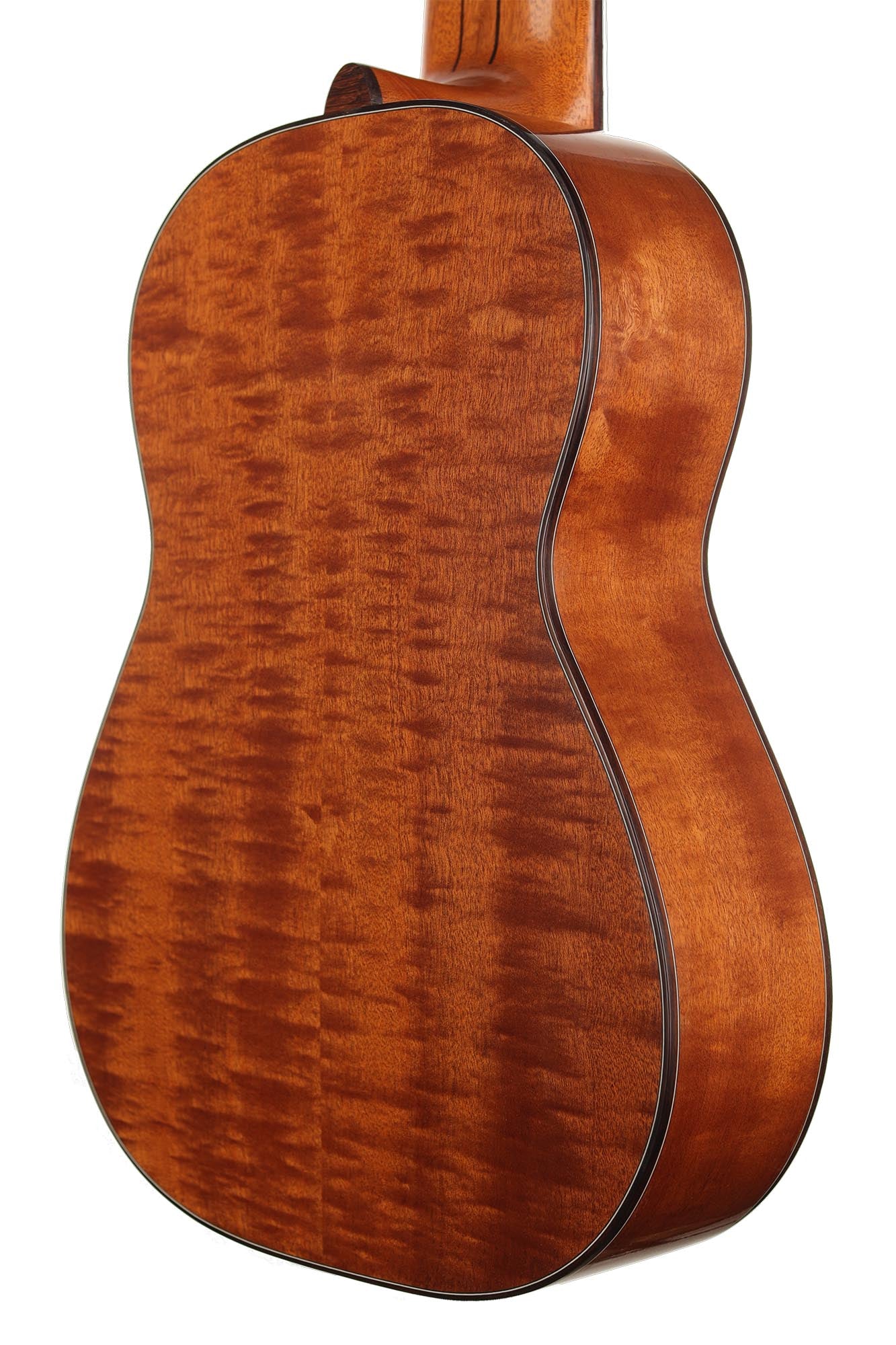 Heikki Rousu - 2020 11-String