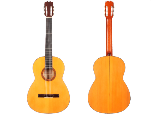 Sobrinos de Domingo Esteso - 1972 img-2