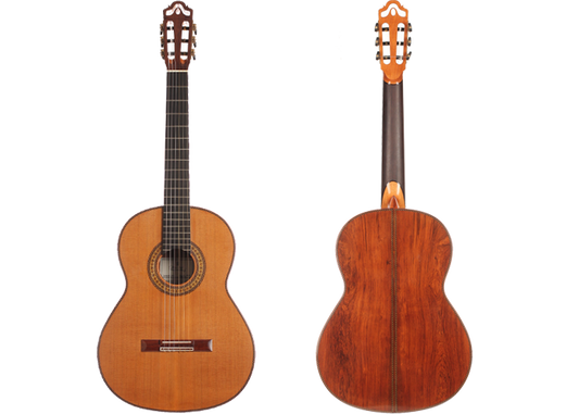 Dieter Hopf - Portentosa Evolucion 2016 img-2