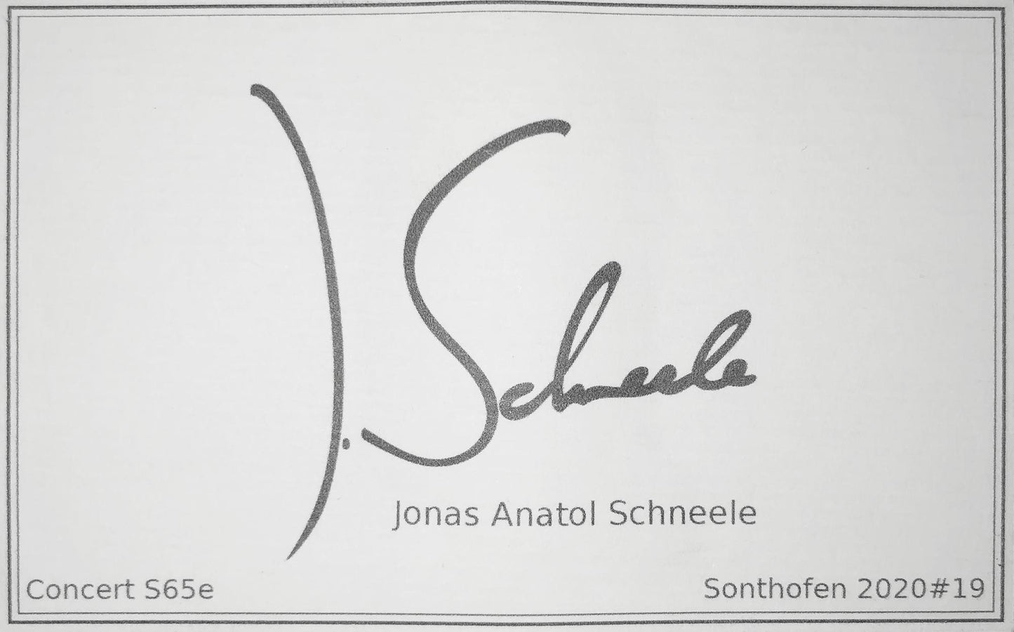 Jonas Anatol Schneele - 2020