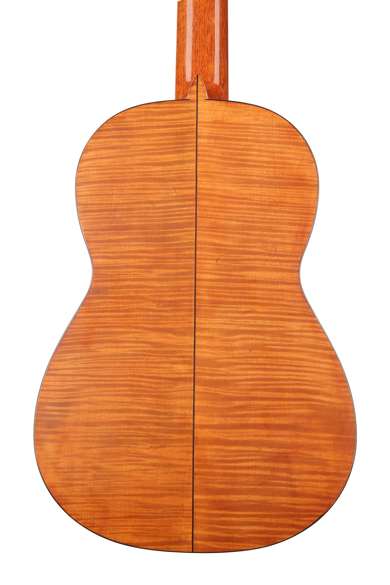 La Cañada - 17A Ahorn 64 cm