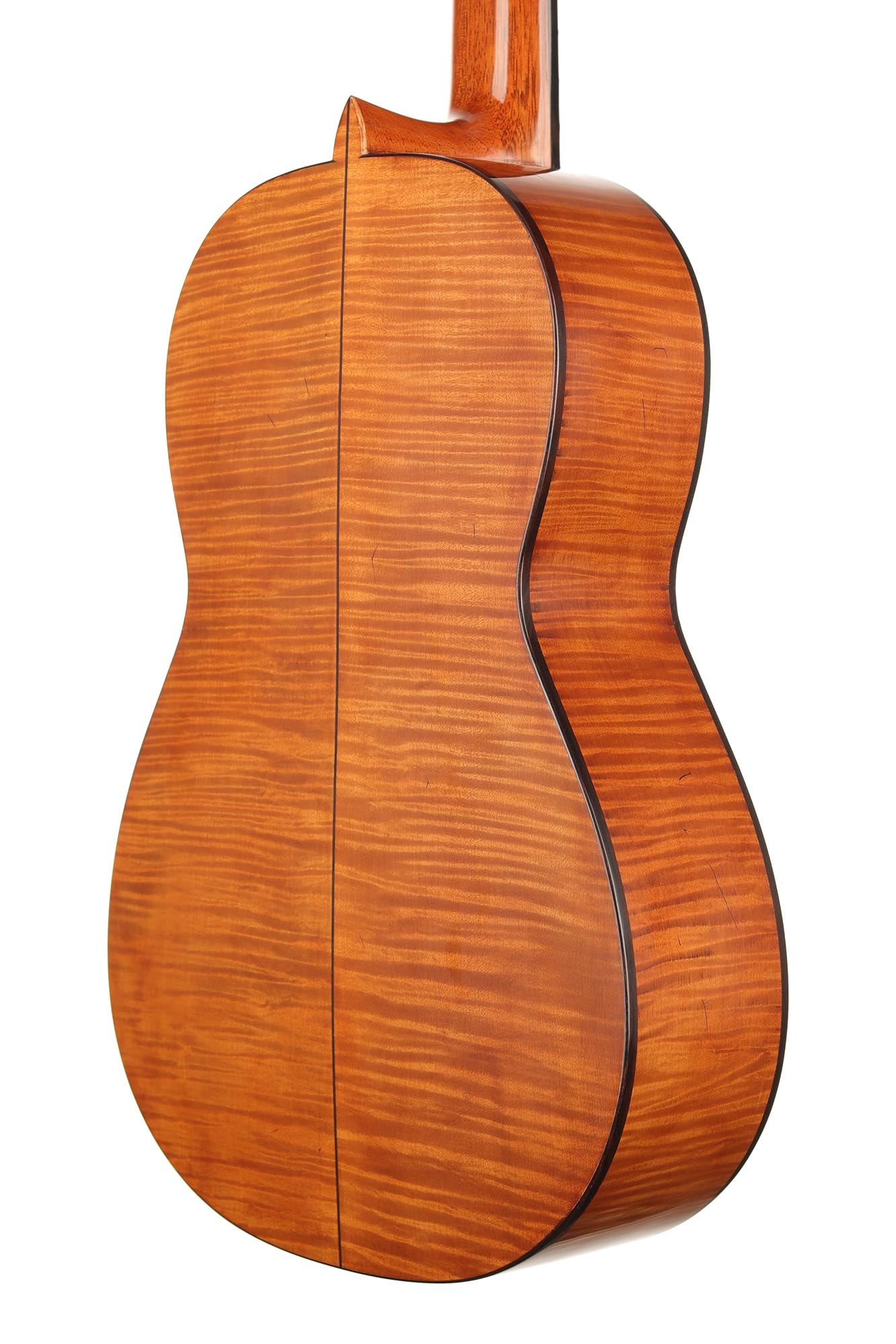 La Cañada - 17A Ahorn 64 cm