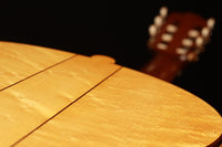 Marco Bortolozzo - 2019