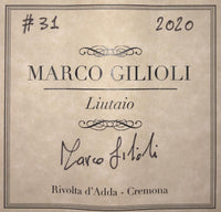 Marco Gilioli - 2020