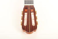 Nicolaus Wollf  - 2016