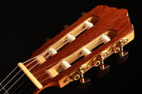 Nicolaus Wollf - 1993