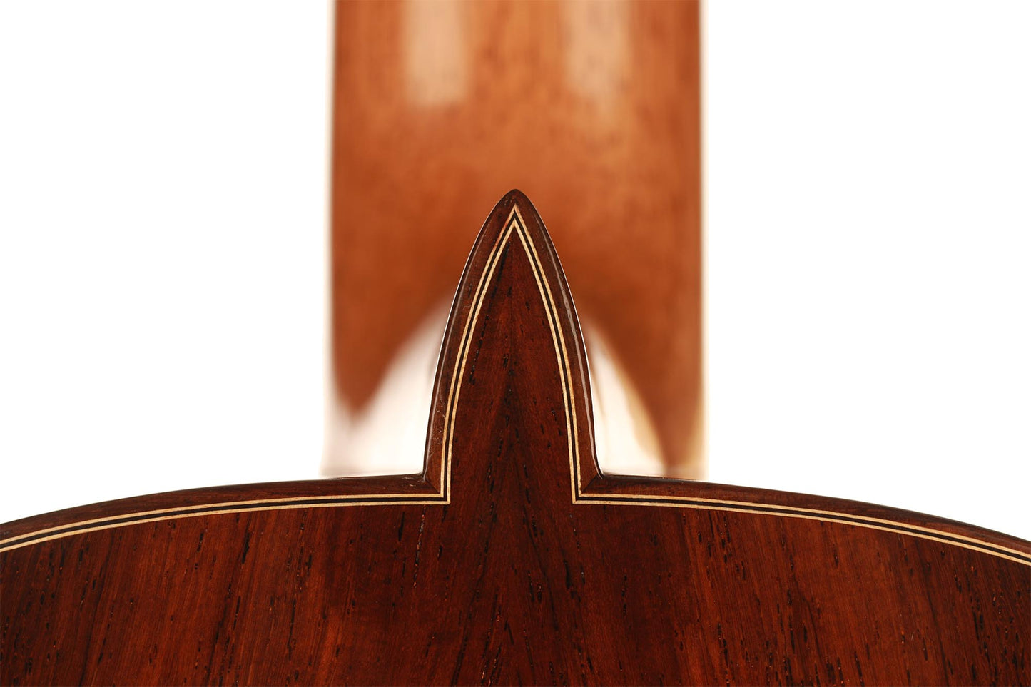 Paulino Bernabé - 2019 640mm