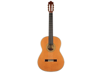 Paulino Bernabé - 2013 Especial Goldmedaille