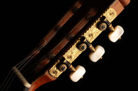 Paulino Bernabé - 2013 Especial Goldmedaille