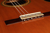 Paulino Bernabé - 2013 Especial Goldmedaille