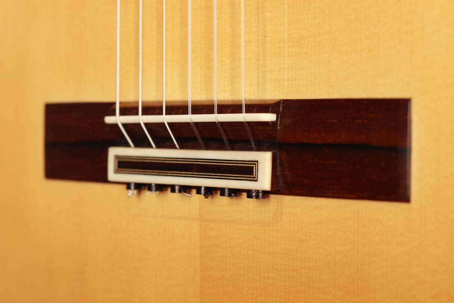 Paulino Bernabe - 2019 Concierto