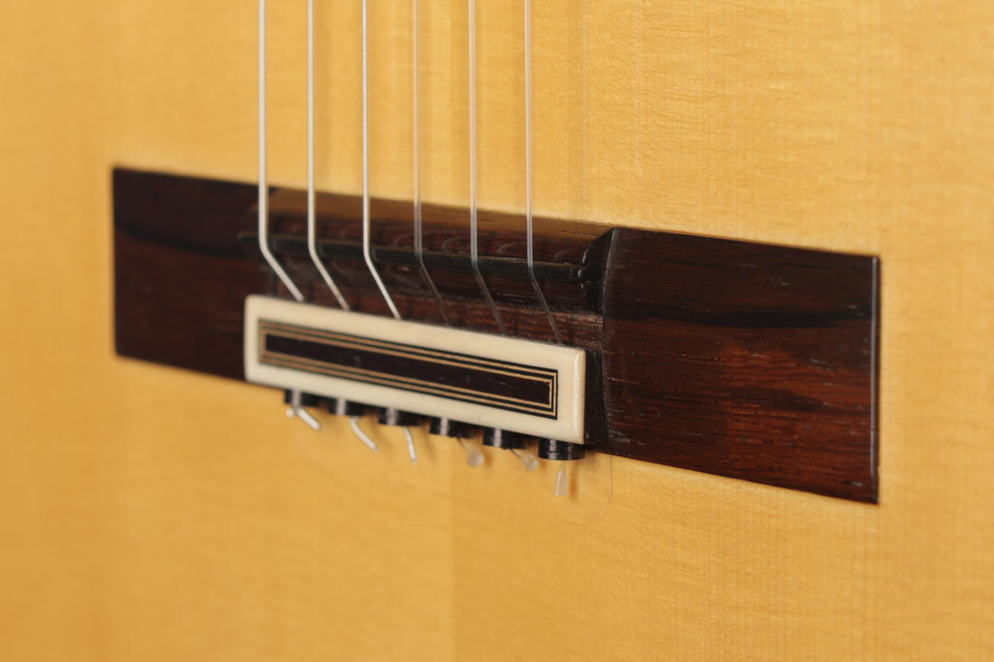 Paulino Bernabé - 2020 Concierto