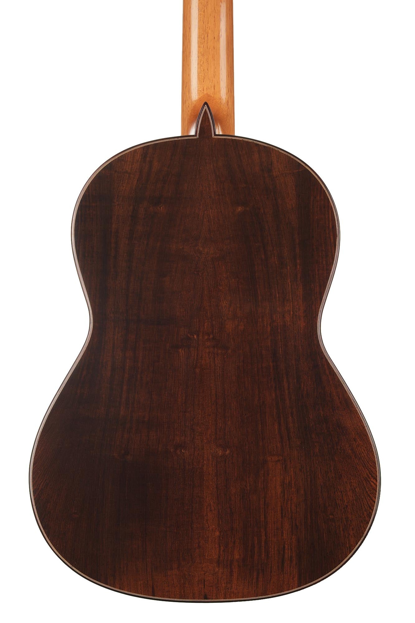 Paulino Bernabé - 2020 Concierto