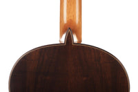 Paulino Bernabé - 2020 Concierto