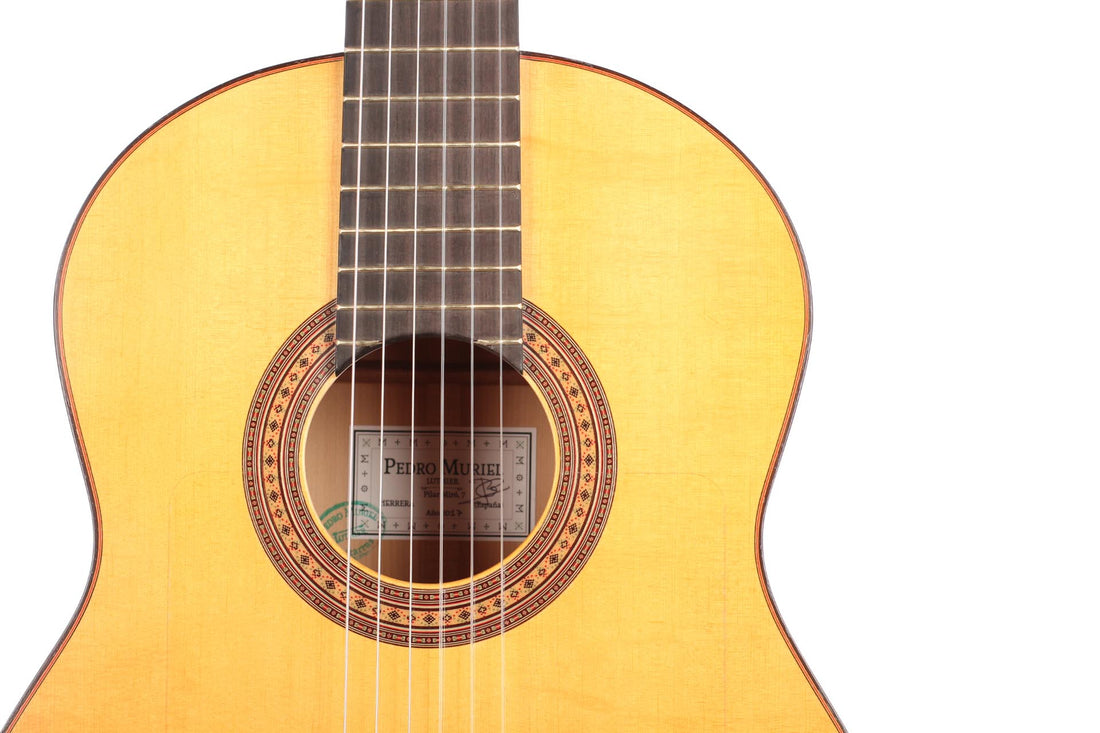 Pedro Muriel - Flamenca 2017 CF