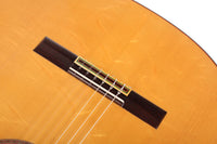 Pedro Muriel - Flamenca 2017 CF