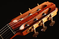 Petr Matoušek - 2008