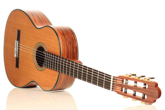 Roy Fankhänel - Torres Zeder 2018 CF img-2