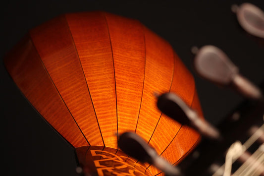 David "José" Rubio - Lute 1981 img-2