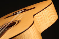 Steven den Toom - 2018