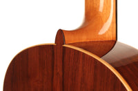 Steven den Toom - 2018