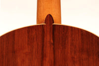 Steven den Toom - 2018