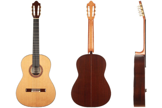 Thomas Dauge – 2019 – Friederich Model img-2