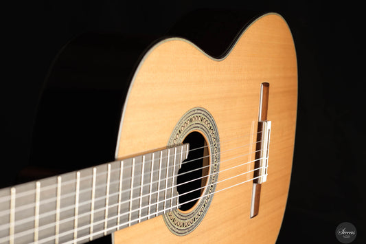 Alessandro Perciaccante - 2024 No. 14 img-2