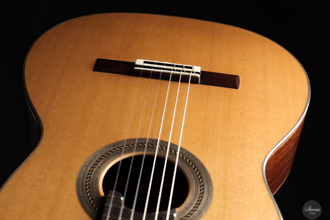 Alessandro Perciaccante - 2025 - No.19