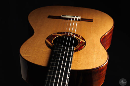 Aldo Illotta - 2025 - REG 2025 Limited Edition