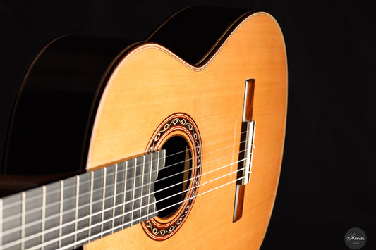 Ana Espinosa - 2025 - 64 cm img-2