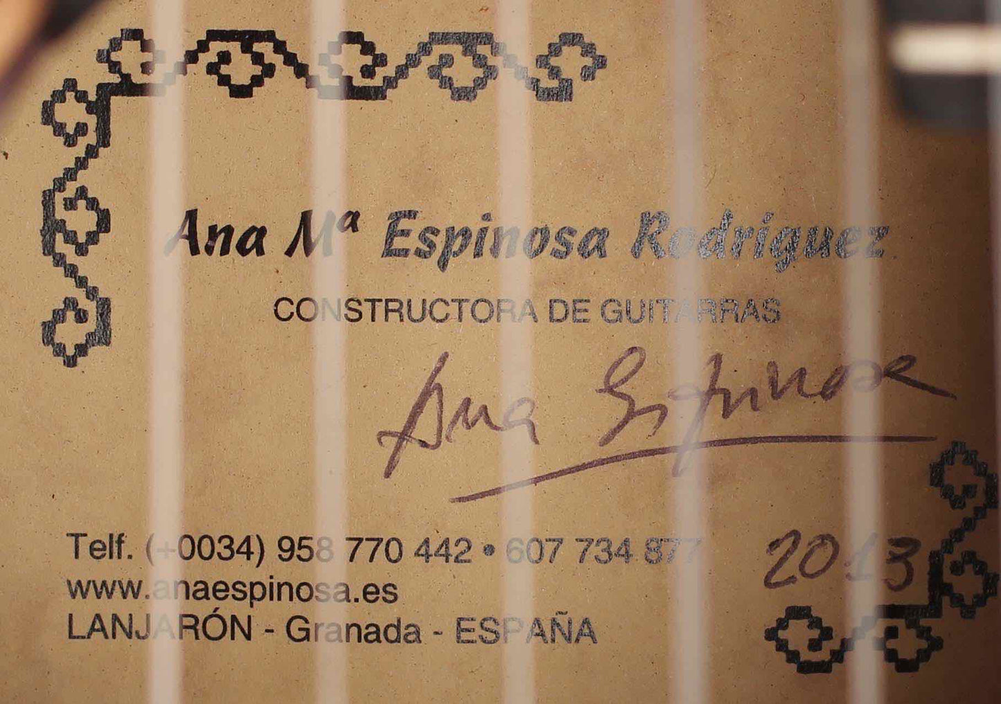 Ana Espinosa - 2013