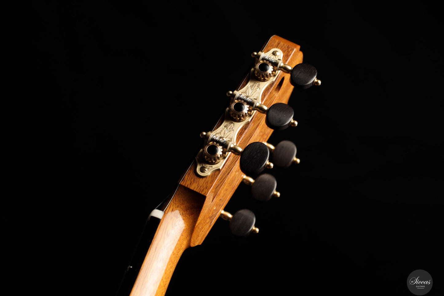 Andrea Stanzione – 2024 REG Limited Edition