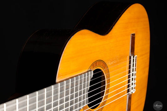 Andrea Tacchi - 1981 - 8-Saitige Terz-Gitarre img-2