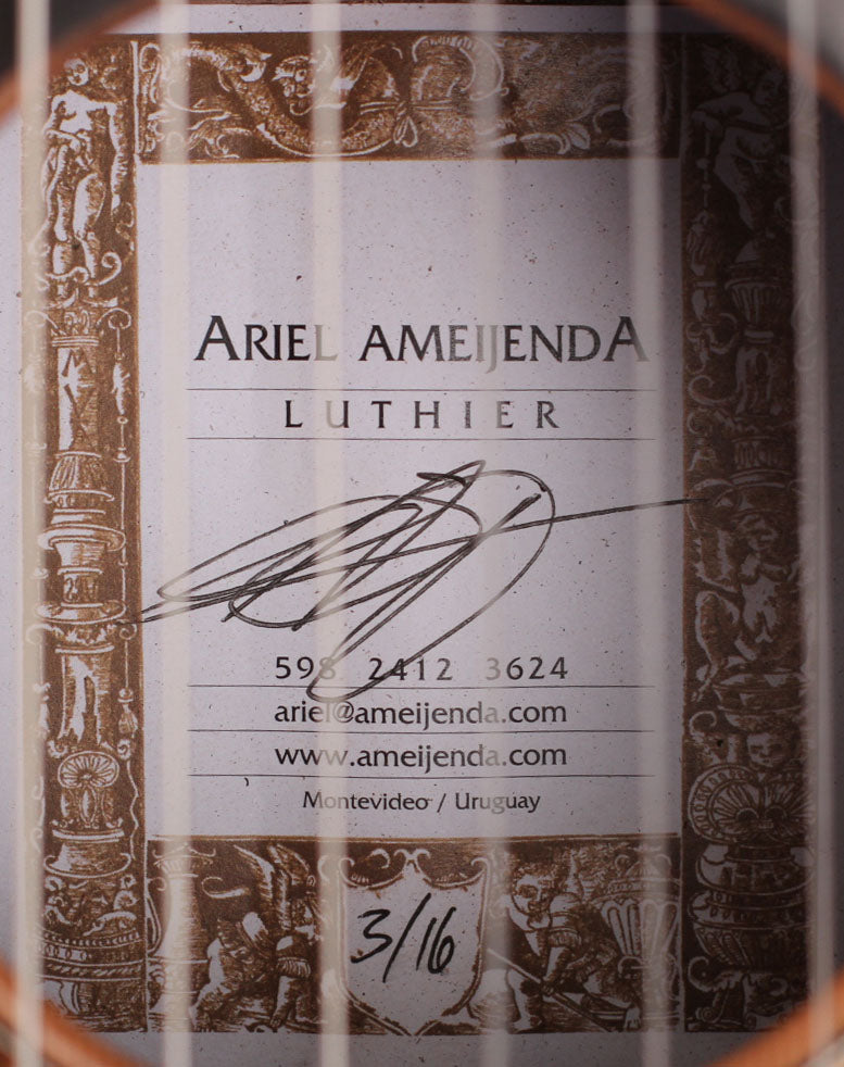 Ariel Ameijenda - 2016