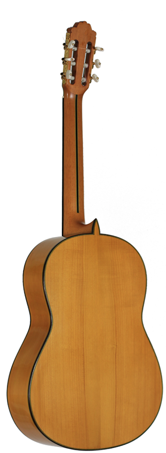 Paulino Bernabé – 2013