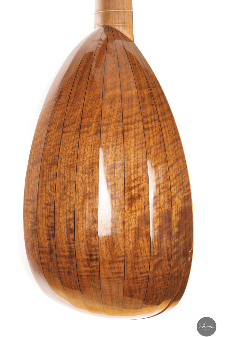 Chiara Frisio - 2024 - 8-course Renaissance Lute