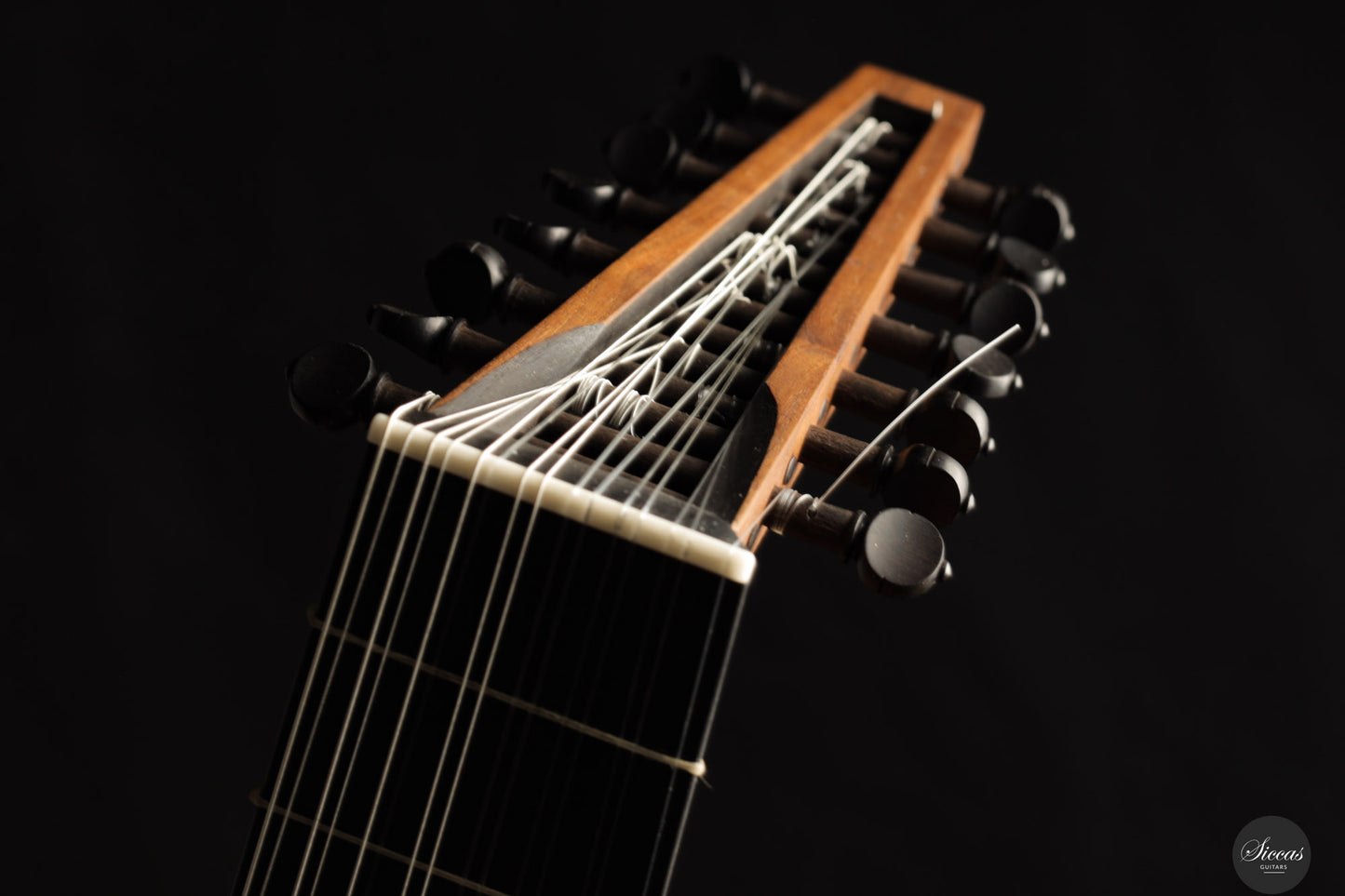 Chiara Frisio - 2024 - 8-course Renaissance Lute