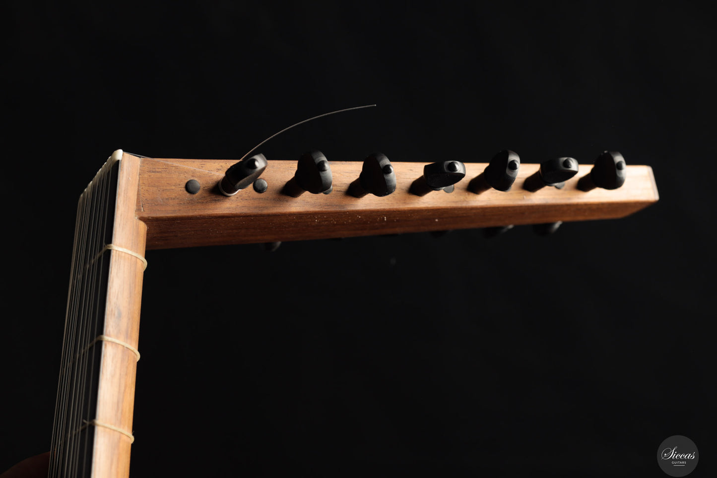 Chiara Frisio - 2024 - 8-course Renaissance Lute