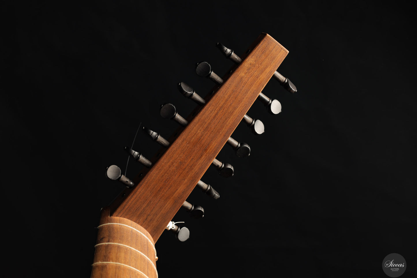 Chiara Frisio - 2024 - 8-course Renaissance Lute
