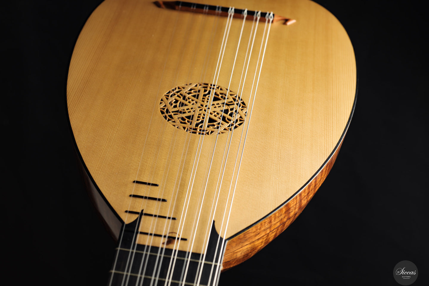 Chiara Frisio - 2024 - 8-course Renaissance Lute